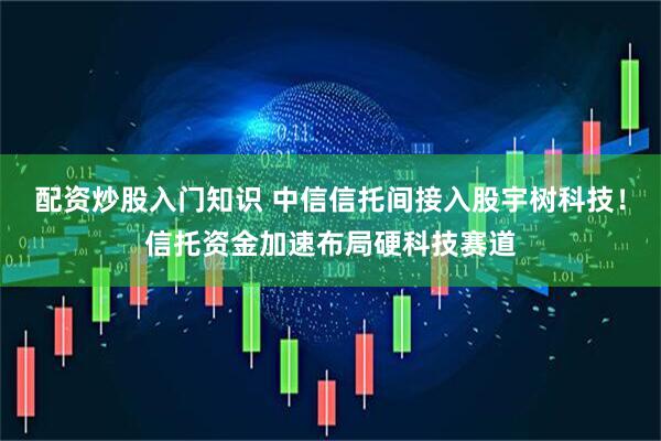 配资炒股入门知识 中信信托间接入股宇树科技！信托资金加速布局硬科技赛道